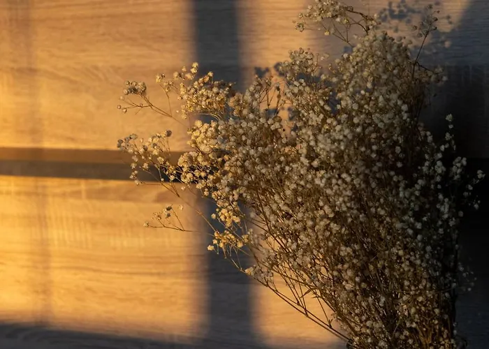 Lieblingsquartier - 6 * Sankt Andreasberg