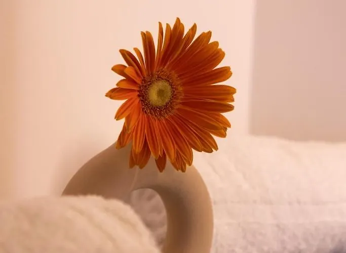 Lieblingsquartier - 6 Daire Sankt Andreasberg